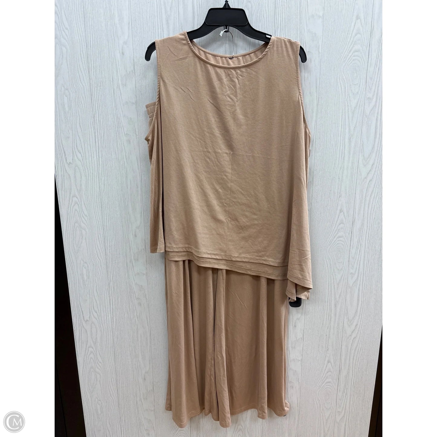 Pants Set 2pc By Clothes Mentor In Tan, Size: 3x