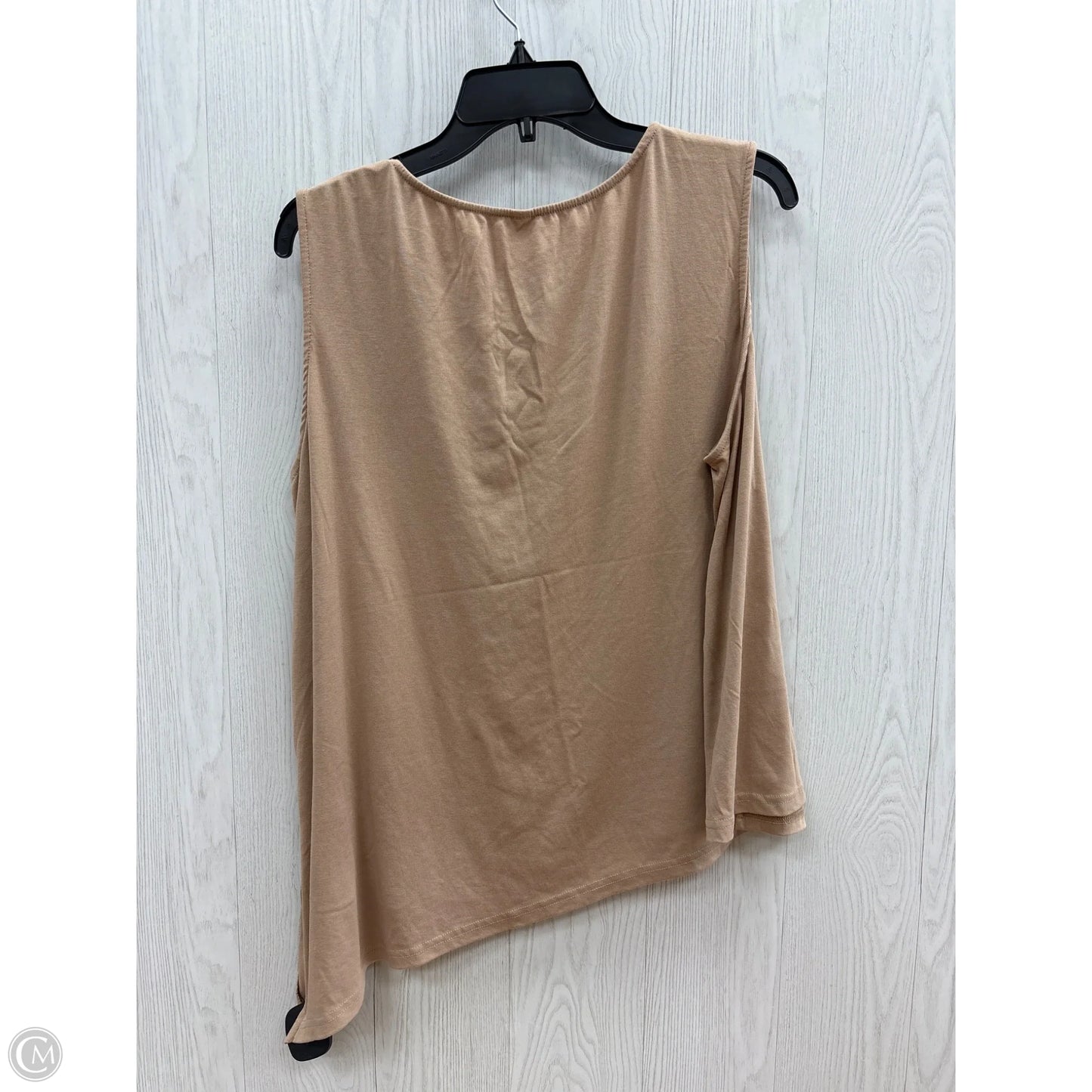 Pants Set 2pc By Clothes Mentor In Tan, Size: 3x