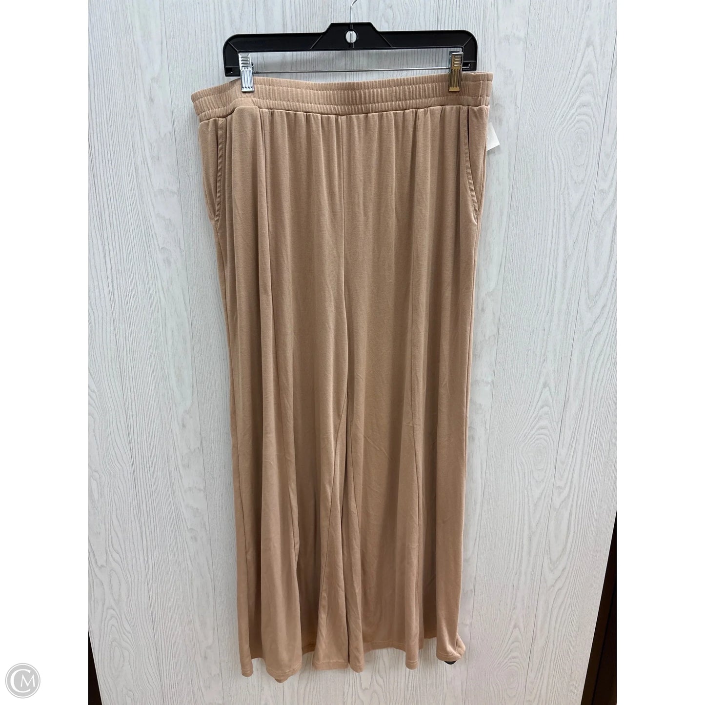 Pants Set 2pc By Clothes Mentor In Tan, Size: 3x