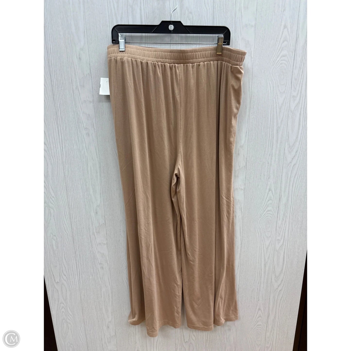 Pants Set 2pc By Clothes Mentor In Tan, Size: 3x