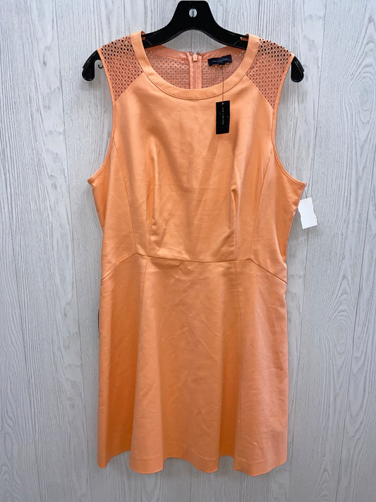 Orange Dress Casual Midi Limited, Size 12